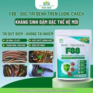 F88 – GIẢI PHÁP ĐIỀU TRỊ CHO AO LƯƠN CHẤM DỨT NGAY tình trạng lươn bị lở loét đỏ da xuất huyết đường