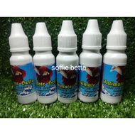 INTIMATE BETTA for Breeding Betta Ikan laga