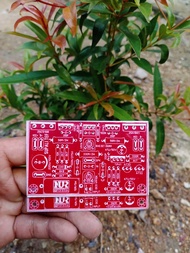 2PCS PCB SOCL 504 TEF BIAS SERVO