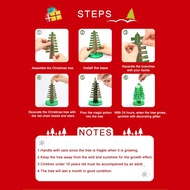 DIY Magic Handmade Christmas  Crystal Tree  (Science Experiment Toys Gifts) Safe &amp; Non Toxic Christmas Gift for kids