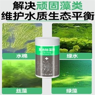 Fish pond algae remover aquarium artifact remove big aquarium moss remover moss blue algae remove gr