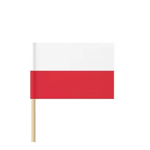 6pcs Oscam Polska clines Oscam 7 lines White Red Europe Poland 4k flag europa polska Hand Held flag 