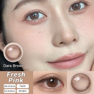 O2GIRL 14.2mm Kính màu Madame H 14.2mm Mắt lớn Kính áp tròng mềm tự nhiên Màu nâu xám Sử dụng hàng n