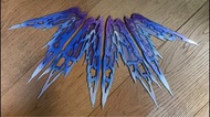 MC METAIL BUILD Freedom 光翼