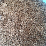 Fine Cumin White Cumin/ Jeera/ Cumin Seeds 100g