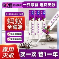 Insect Amine Ant Cockroach Stinky Insect Pest Powerful Whole Nest Car Bedroom Balcony Toilet Super P