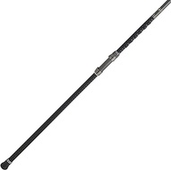 PENN Carnage III Surf Conventional Fishing Rod,Silver/Black/Gold, 12' - Heavy - 2pc