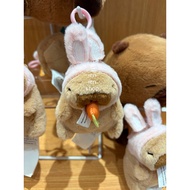 MINISO Ien ien Movable Bunny Capybara Drawing Stringminiso