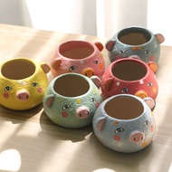 Naqu New Succulent Flower Pot Cute Pig Color Cartoon Hand-Painted Hand-Painted Large Flower Holder Creative Flower Pot