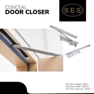 NEW Door Closer Concealed SES 88 SS/SES 88 BM/SES Automatic Door Closer/SES Built-in Door Closer/SES