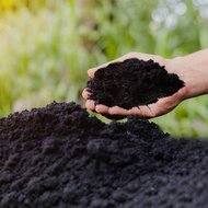Potassium-rich Biochar Fertilizer for Plants