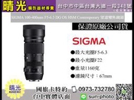 ☆晴光★SIGMA 100-400mm F5-6.3 DG OS HSM Contemporary 望遠變焦鏡頭  打鳥