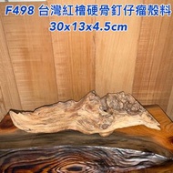 【元友】現貨 #F498 M 台灣紅檜 釘仔瘤殼 隨形 台座 收藏 木藝品 台灣檜木 擺件