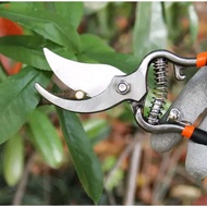 JCM Scissors 8 Inch LARGE Garden Branches Leaves Twigs Pruning Shears Twigs Scissors