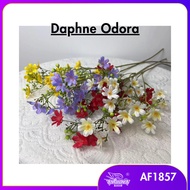ARTIFICIAL DAPHNE ODORA FLOWER/ BABY BREATH ODORA/ BUNGA HIASAN/ ARTIFICIAL FLOWER/ HOME DECORATION/