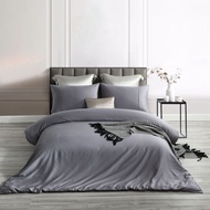 Bộ ga áo gối tencel™ Jean Perry Lovis Series Whitney 1m6x2m 1m8x2m 2m2x2m +40cm (kèm vỏ chăn)