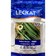 Benih Bendi Indian Ocean 535 F1 Hybrid Okra Leckat - ( 200g ) 👍 💯