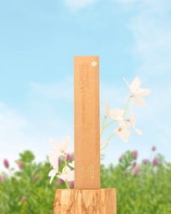 Ispalla Palo Santo & Jasmine 聖木&茉莉 線香 10支 秘魯聖木線