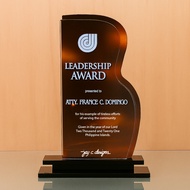 ACRYLIC PLAQUE - ACRYLIC TROPHY - AWARD - CUSTOMIZED PERSONALIZED JAY C. DESIGNS - 8041