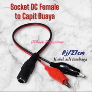 DC Female to Crocodile Clamp Socket DC Female to Clamp Socket/.