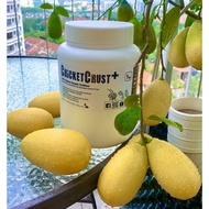 CricketCrust+ 100% Natural Organic Insect Frass Fertilizer with Cricket Poo, Fish Bone Meal, Black S