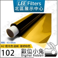 Digital Bunny [LEE Filters Light Amber 102 Light Amber Light Color Temperature Paper A2 Single Set] 