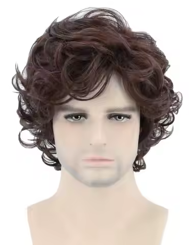 70s Men's Wig Brown Short Wave Fluffy Synthetic Wig Role-Playing Halloween Costume Character Wig