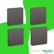 Schneider AvatarOn 1 gang/ 2 gang/ 3 gang / 4 gang (1 way & 2 way), Dark Grey