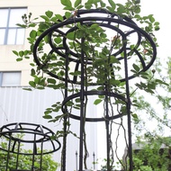 Climbing Plant Support Rust Proof Decorative Umbrella Shape Potted Plant Stake Support For Rose Toma