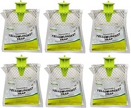 RESCUE! Disposable Summer Yellowjacket Trap, Outdoor - Eastern Time Zones(Pack of 6)