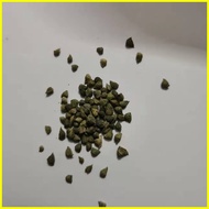 ♞【COD】10pcs Rare Calathea Seeds Air Freshening Plants Seeds #SW11