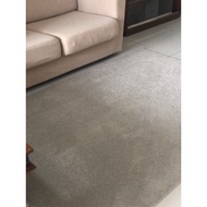 IKEA SPORUP RUG USED