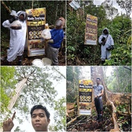 Madu Tualang Mufid 0.5kg Madu Tualang Asli/Tulen Tualang Honey