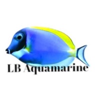 Ikan hias air laut botana biru