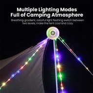 Vyvylabs Camping Light Starry Sky Magnetic Absorber Multi functional 10 meter (Storage Light Strip+W