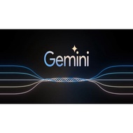 Gemini Pro  Private Account