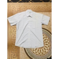 KEMEJA Crocodile shirt