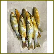 ┘ ➶ ◡ Tinapang Kapak/ Tinapang Bataan / fresh vacuum sealed/ quality masarap malinamnam