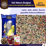 Woww สุดคุ้ม อาหารนกแก้ว ธัญพืช 9 อย่าง ผสมฮวยมั้ว Zupreem และ B14 (แบ่งขาย 1kg.) ราคาโปร อาหาร นก อ