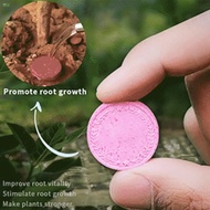 MIN Home Gardening Universal Slow-Release Tablet Organic-Fertilizer Plant Growth Nutrition Tablets
