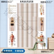Body Fat Chart Wall Sticker Posture and Posture Assessment Chart Body Measurement Posture Gym Chart 