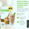 Herbalife Formula 1 original