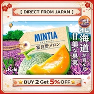 Asahi Group Foods Mintia Furano Melon 50 grains (7g)