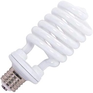 Base Fluorscent,Mogul Bulb,65w