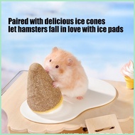 Ferret Bed Cooling Mat Ceramic Hamster Bed Cone Chew Toys Sleeping Pad with Teething Sticks Ferret C