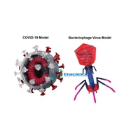 4D MASTER STEM Coronavirus COVID-19, Bacteriophage Virus Model for Science SPM University
