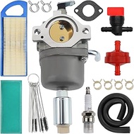 Carbman 594593 796109 Carburetor For Brigg & Stratton 591731 590400 794572 796078 31H777 31G777 31H7