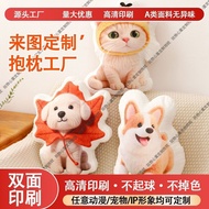 Pillow Hug Pillow Special-Shaped Pillow Customized Diy Humanoid Cat Customized Special-Shaped Pillow