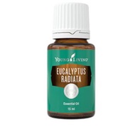 Eucalyptus radiata