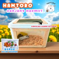 Box Es Krim Modif Kandang Hamster Besar